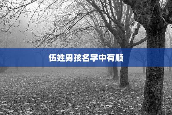 伍姓男孩名字中有顺