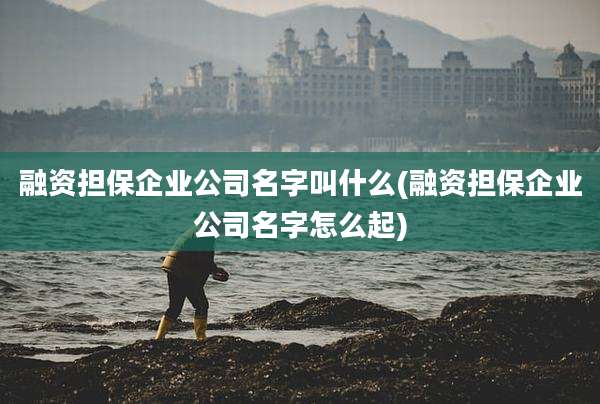 融资担保企业公司名字叫什么(融资担保企业公司名字怎么起)