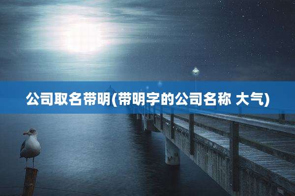 公司取名带明(带明字的公司名称 大气)
