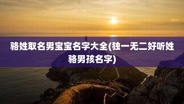 骆姓取名男宝宝名字大全(独一无二好听姓骆男孩名字)