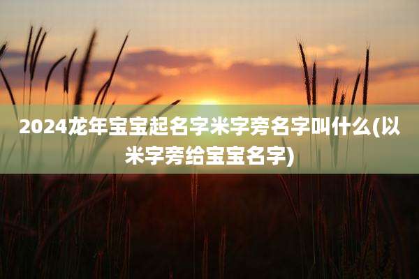 2024龙年宝宝起名字米字旁名字叫什么(以米字旁给宝宝名字)
