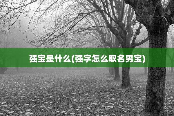 强宝是什么(强字怎么取名男宝)