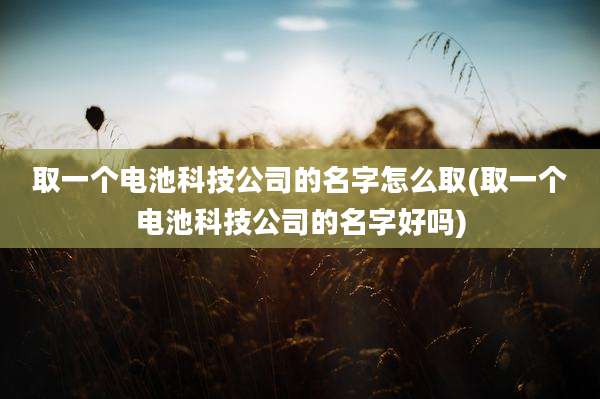 取一个电池科技公司的名字怎么取(取一个电池科技公司的名字好吗)