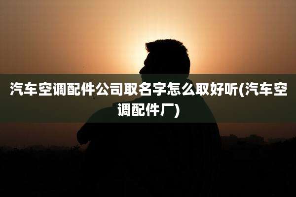 汽车空调配件公司取名字怎么取好听(汽车空调配件厂)