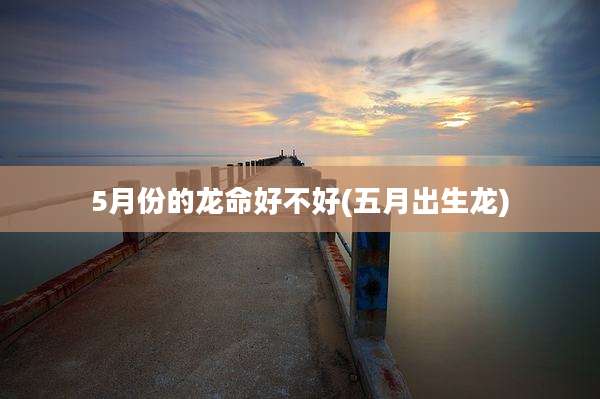 5月份的龙命好不好(五月出生龙)