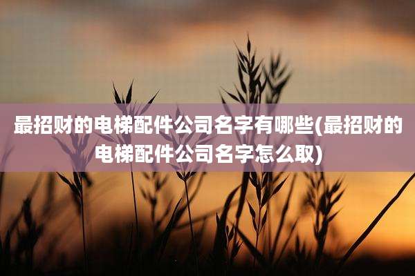 最招财的电梯配件公司名字有哪些(最招财的电梯配件公司名字怎么取)
