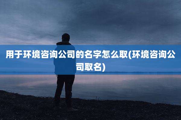 用于环境咨询公司的名字怎么取(环境咨询公司取名)