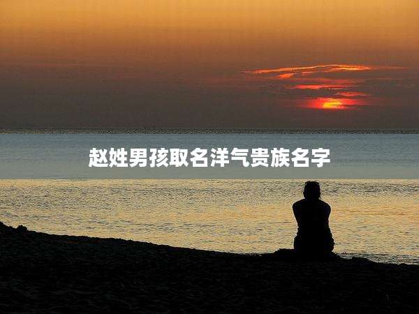 赵姓男孩取名洋气贵族名字