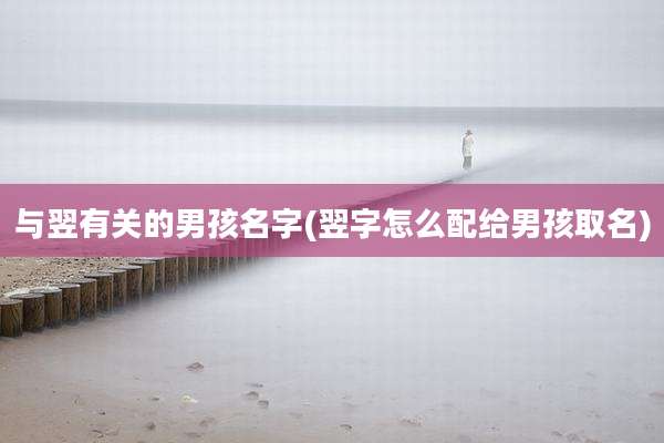 与翌有关的男孩名字(翌字怎么配给男孩取名)