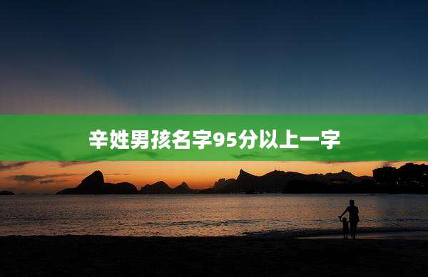 辛姓男孩名字95分以上一字