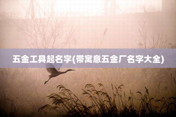 五金工具起名字(带寓意五金厂名字大全)