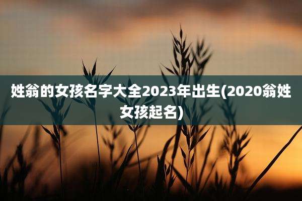 姓翁的女孩名字大全2023年出生(2020翁姓女孩起名)