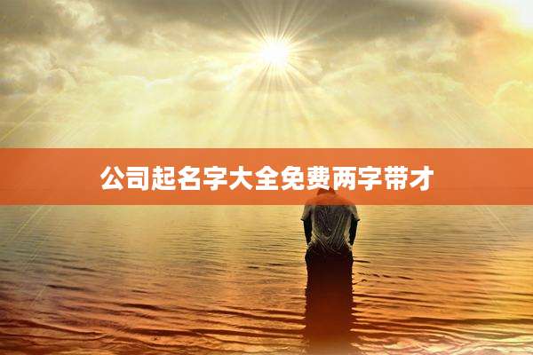 公司起名字大全免费两字带才