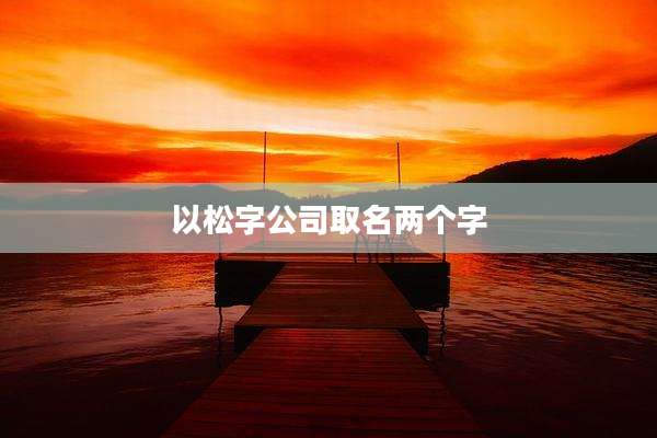 以松字公司取名两个字