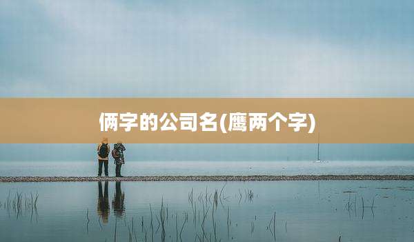 俩字的公司名(鹰两个字)
