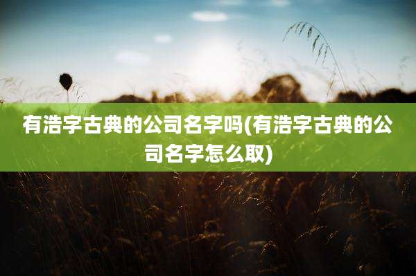 有浩字古典的公司名字吗(有浩字古典的公司名字怎么取)