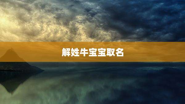 解姓牛宝宝取名