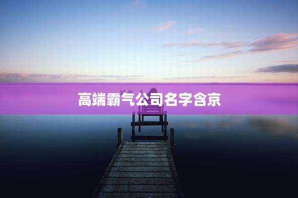 高端霸气公司名字含京