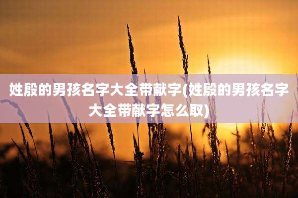姓殷的男孩名字大全带献字(姓殷的男孩名字大全带献字怎么取)