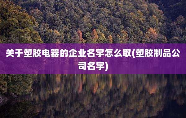 关于塑胶电器的企业名字怎么取(塑胶制品公司名字)