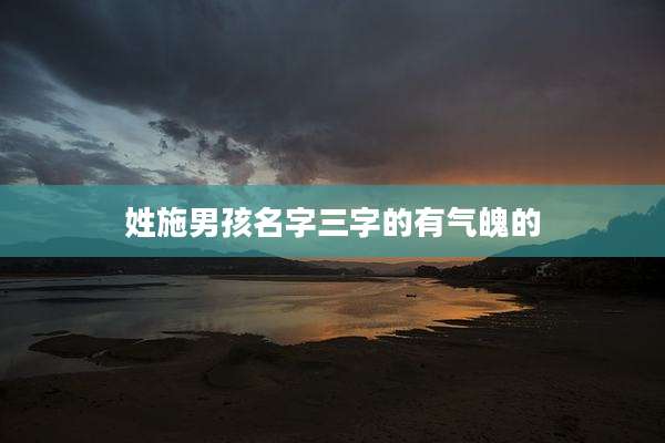 姓施男孩名字三字的有气魄的
