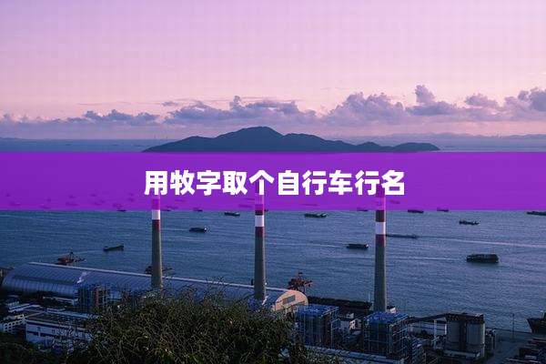 用牧字取个自行车行名