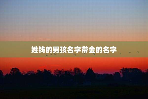 姓钱的男孩名字带金的名字