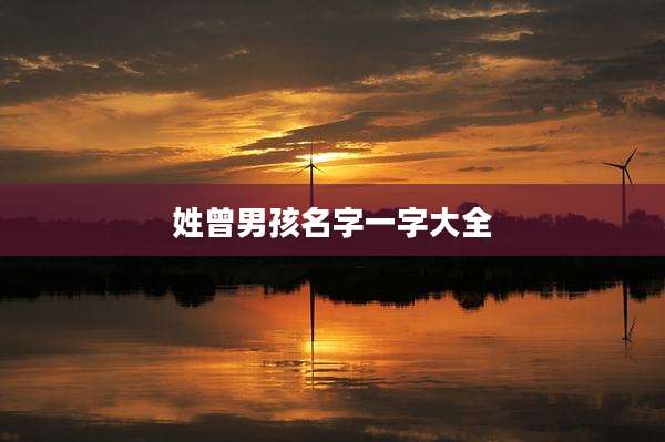 姓曾男孩名字一字大全