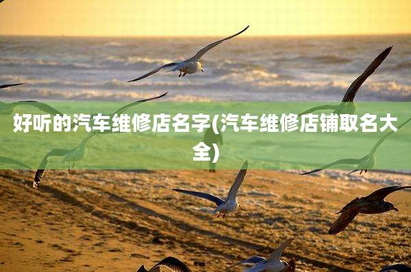 好听的汽车维修店名字(汽车维修店铺取名大全)
