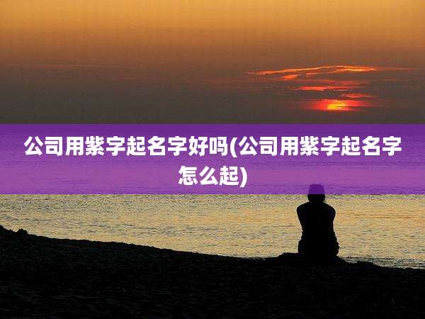 公司用紫字起名字好吗(公司用紫字起名字怎么起)