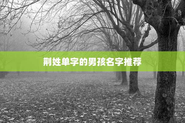 荆姓单字的男孩名字推荐