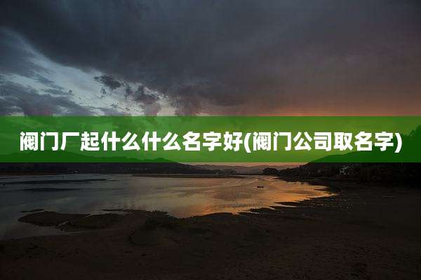 阀门厂起什么什么名字好(阀门公司取名字)