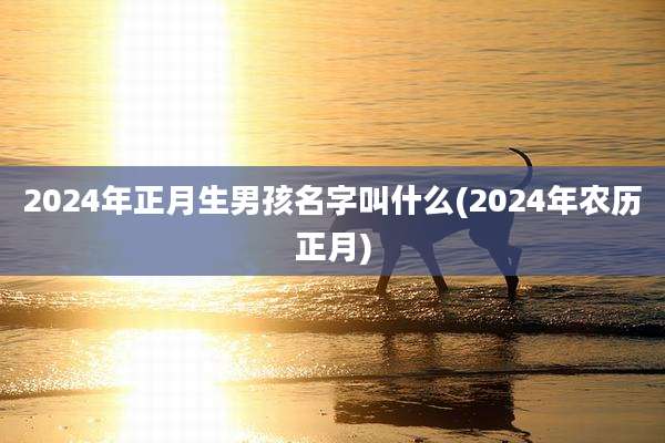 2024年正月生男孩名字叫什么(2024年农历正月)