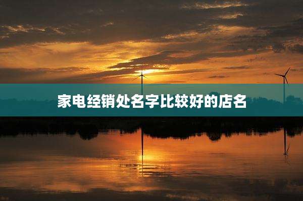 家电经销处名字比较好的店名
