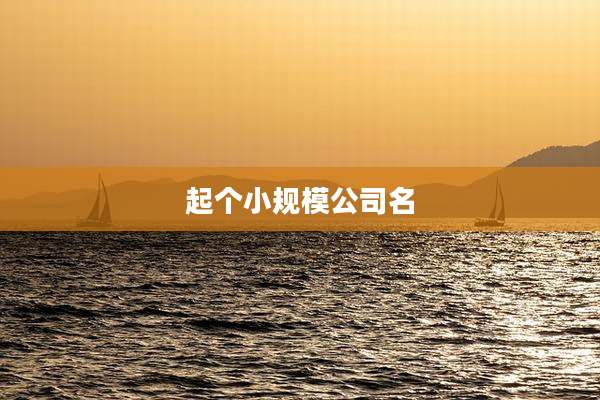 起个小规模公司名