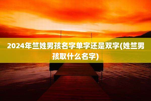 2024年竺姓男孩名字单字还是双字(姓竺男孩取什么名字)