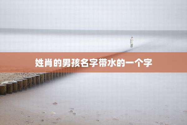 姓肖的男孩名字带水的一个字