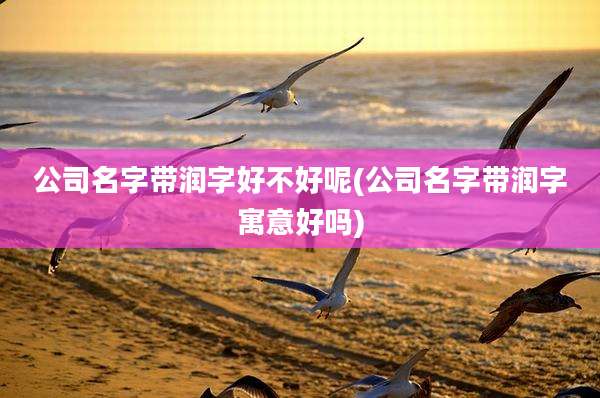 公司名字带润字好不好呢(公司名字带润字寓意好吗)