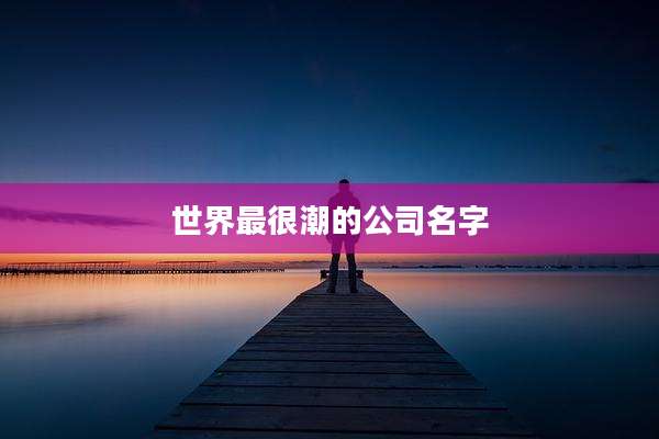 世界最很潮的公司名字