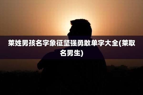 莱姓男孩名字象征坚强勇敢单字大全(莱取名男生)