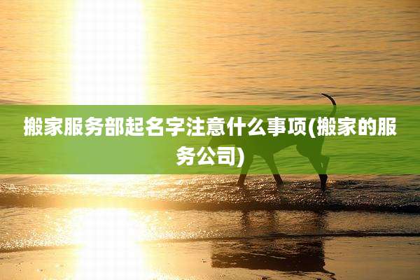 搬家服务部起名字注意什么事项(搬家的服务公司)