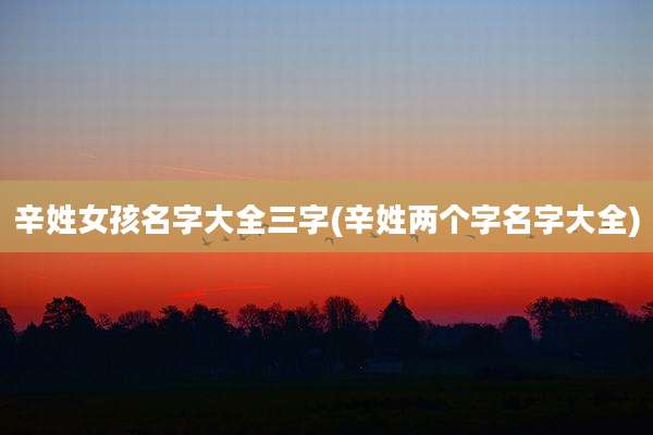 辛姓女孩名字大全三字(辛姓两个字名字大全)