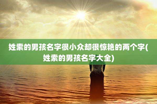 姓索的男孩名字很小众却很惊艳的两个字(姓索的男孩名字大全)