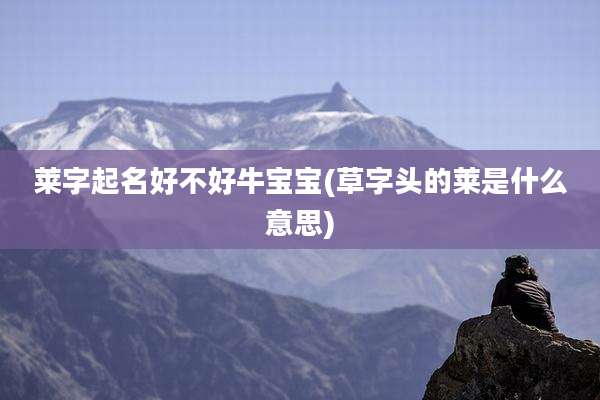 莱字起名好不好牛宝宝(草字头的莱是什么意思)