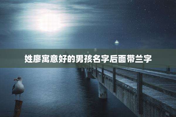 姓廖寓意好的男孩名字后面带兰字