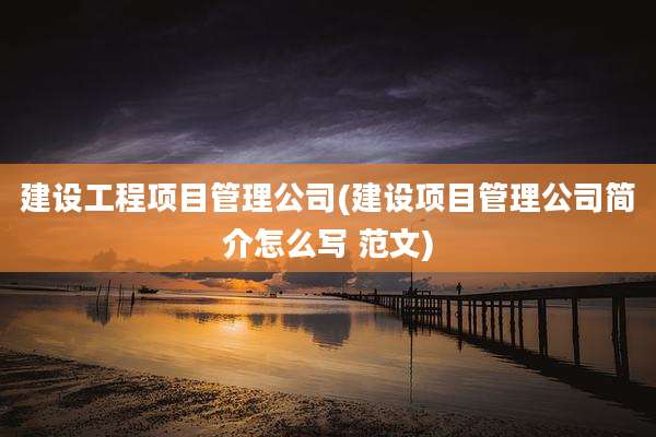 建设工程项目管理公司(建设项目管理公司简介怎么写 范文)