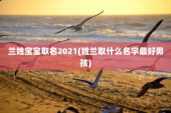兰姓宝宝取名2021(姓兰取什么名字最好男孩)