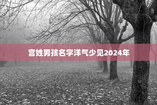 宫姓男孩名字洋气少见2024年