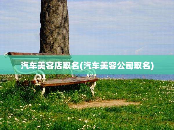 汽车美容店取名(汽车美容公司取名)