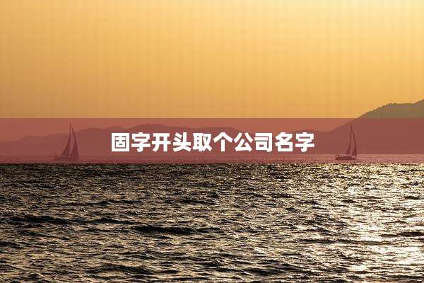 固字开头取个公司名字